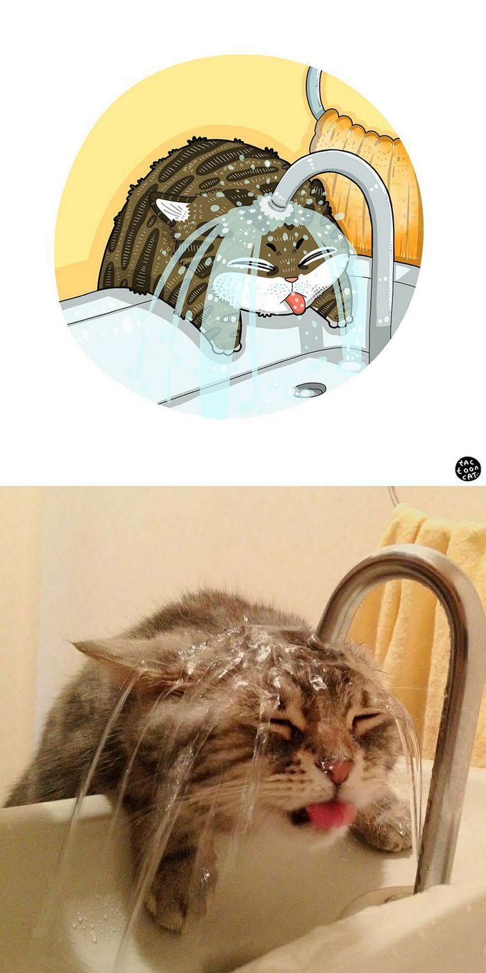 Artista transforma fotos engraçadas de gatos em ilustrações (35 fotos) 9