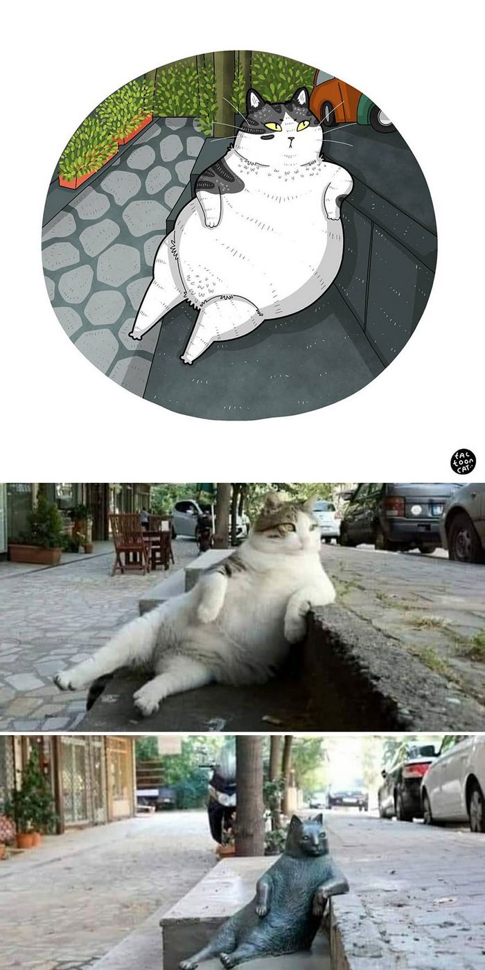 Artista transforma fotos engraçadas de gatos em ilustrações (35 fotos) 15