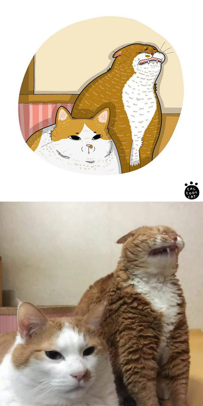 Artista transforma fotos engraçadas de gatos em ilustrações (35 fotos) 21