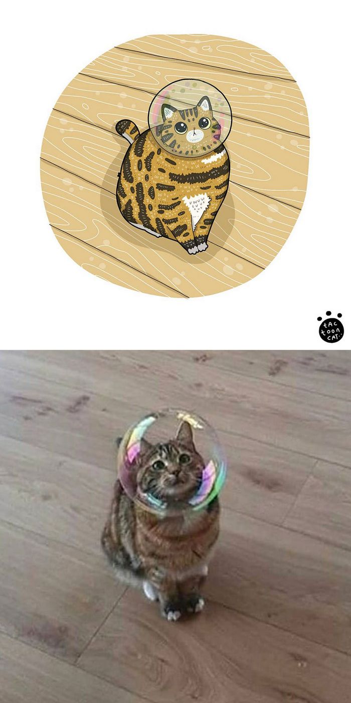 Artista transforma fotos engraçadas de gatos em ilustrações (35 fotos) 24