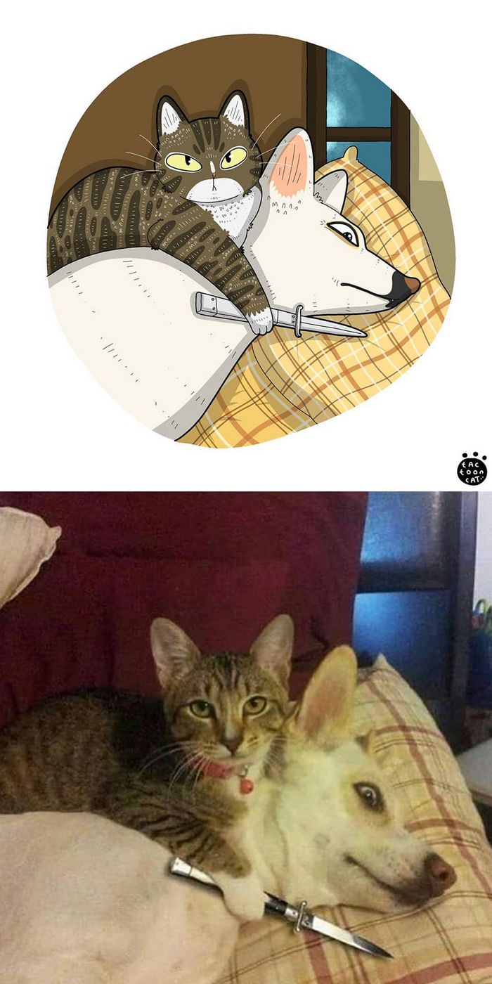 Artista transforma fotos engraçadas de gatos em ilustrações (35 fotos) 29
