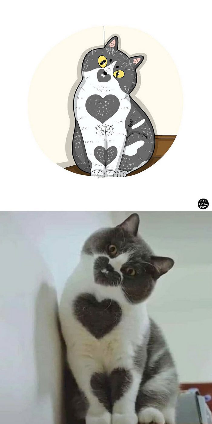 Artista transforma fotos engraçadas de gatos em ilustrações (35 fotos) 35