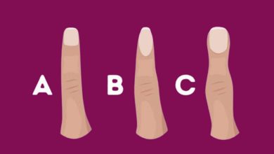 O que a forma dos seus dedos diz sobre você? 2