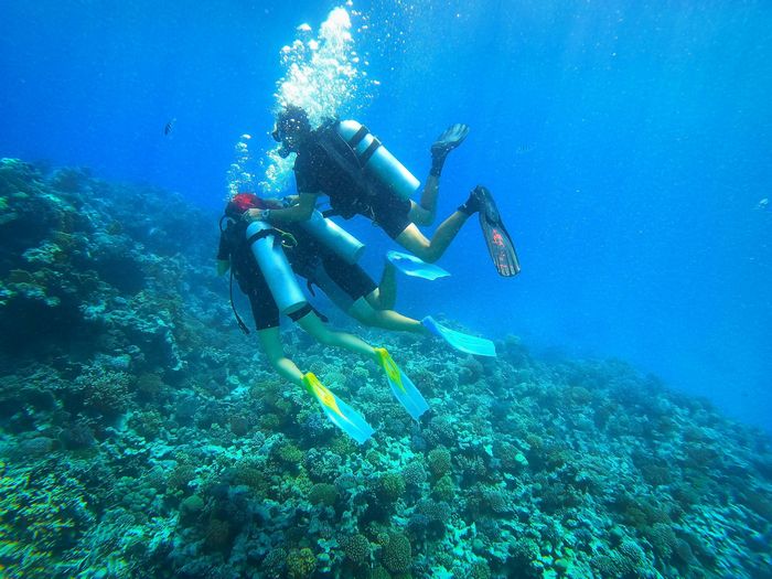 25 histórias de experiências mais assustadoras de mergulhadores 15