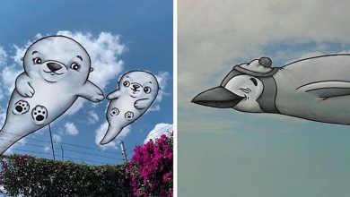 Este artista cria desenhos inspirados em formas de nuvem (42 fotos) 46
