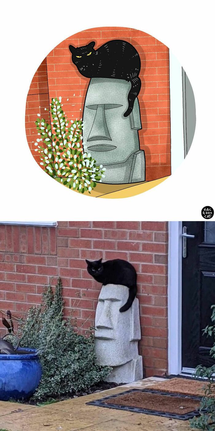 34 Fotos engraçadas de gatos virais ilustradas por este artista 16