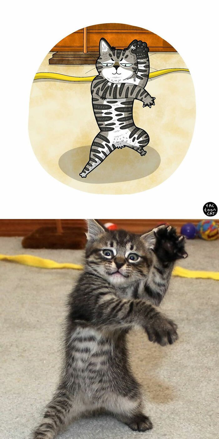 34 Fotos engraçadas de gatos virais ilustradas por este artista 20