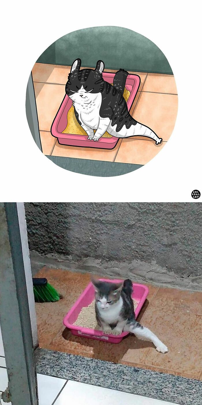 34 Fotos engraçadas de gatos virais ilustradas por este artista 32