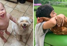 16 fotos de crianças com animais de estimação que nos fizeram acreditar na verdadeira amizade 4