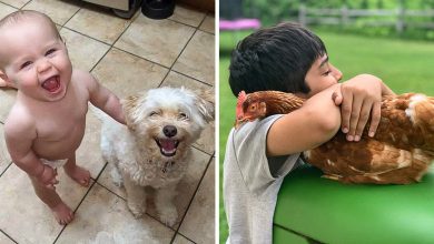 16 fotos de crianças com animais de estimação que nos fizeram acreditar na verdadeira amizade 1