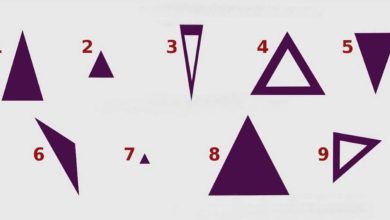 Teste do triângulo 3