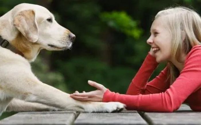 Pesquisa mostra que pessoas que falam com animais de estimação são mais inteligentes 1