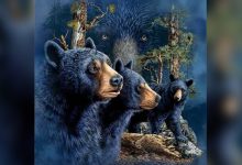 A paciência faz parte do seu caráter? Quantos ursos você consegue enxergar? 45