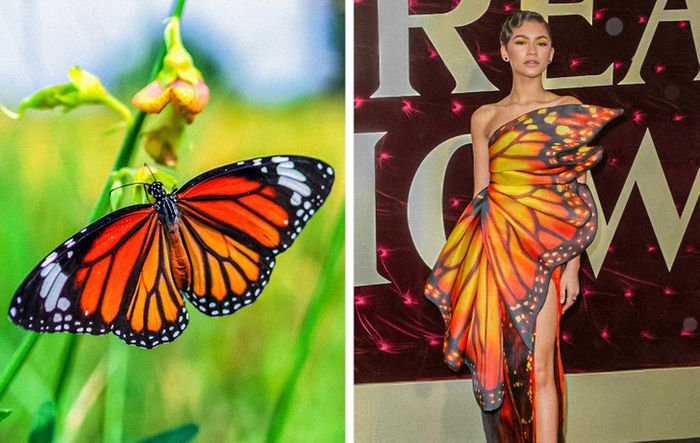 15 celebridades com roupas inspiradas em animais para provar que a natureza é a melhor fonte de inspiração 2