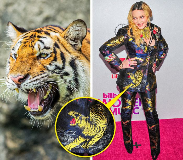 15 celebridades com roupas inspiradas em animais para provar que a natureza é a melhor fonte de inspiração 4