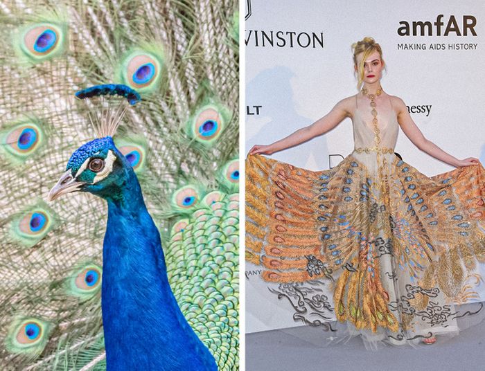15 celebridades com roupas inspiradas em animais para provar que a natureza é a melhor fonte de inspiração 9