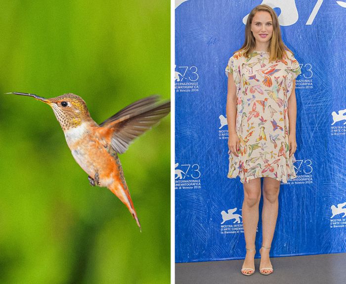 15 celebridades com roupas inspiradas em animais para provar que a natureza é a melhor fonte de inspiração 13