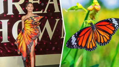 15 celebridades com roupas inspiradas em animais para provar que a natureza é a melhor fonte de inspiração 42