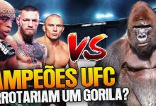 3 lutadores do UFC Vs 1 gorila: Quem vence? 10