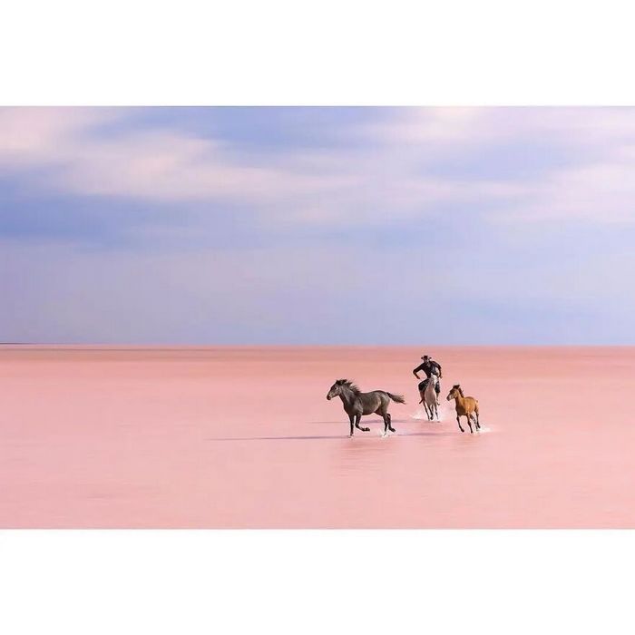 42 fotos de animais poderosas da página do Instagram “The Decisive Moments Magazine” 33