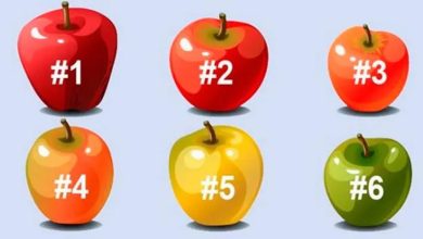 O que cada maçã diz sobre você? 48