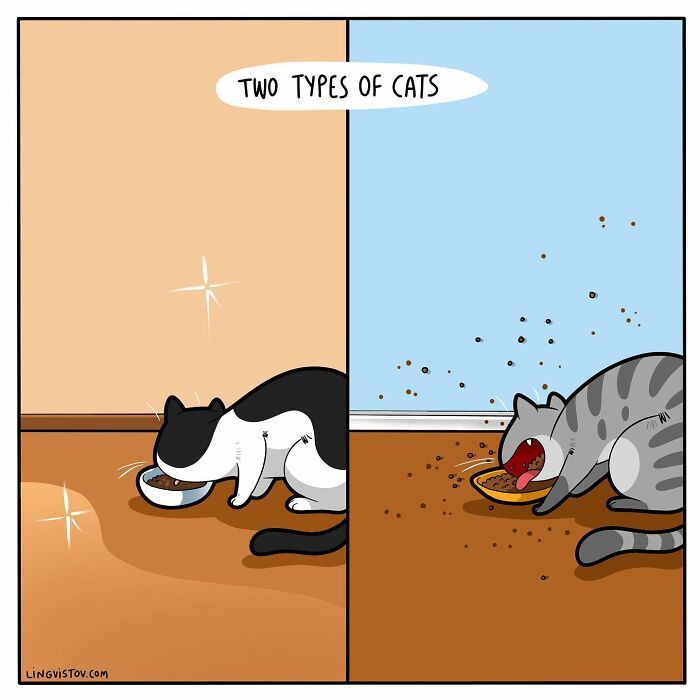 40 quadrinhos divertidos de Lingvistov mostrando como é realmente viver com um gato 4