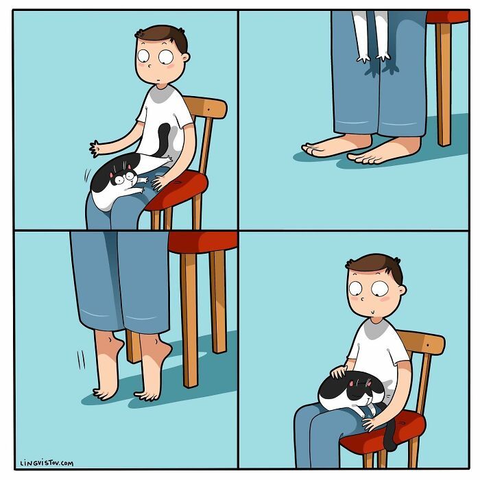 40 quadrinhos divertidos de Lingvistov mostrando como é realmente viver com um gato 6