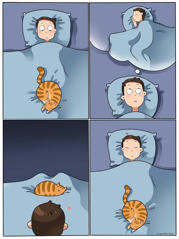 40 quadrinhos divertidos de Lingvistov mostrando como é realmente viver com um gato 10