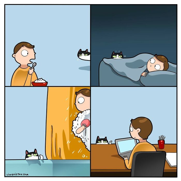 40 quadrinhos divertidos de Lingvistov mostrando como é realmente viver com um gato 13