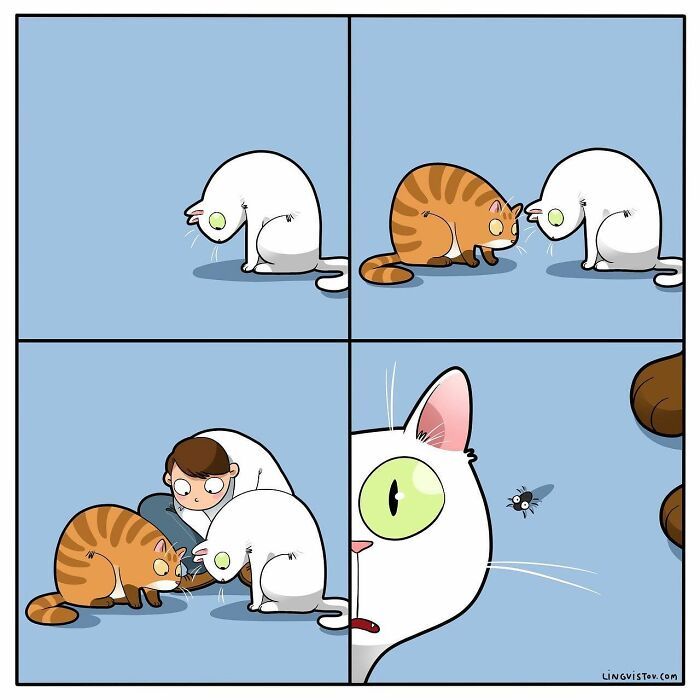 40 quadrinhos divertidos de Lingvistov mostrando como é realmente viver com um gato 18