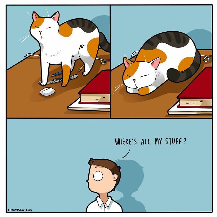40 quadrinhos divertidos de Lingvistov mostrando como é realmente viver com um gato 22
