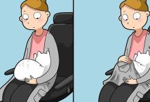 40 quadrinhos divertidos de Lingvistov mostrando como é realmente viver com um gato 40
