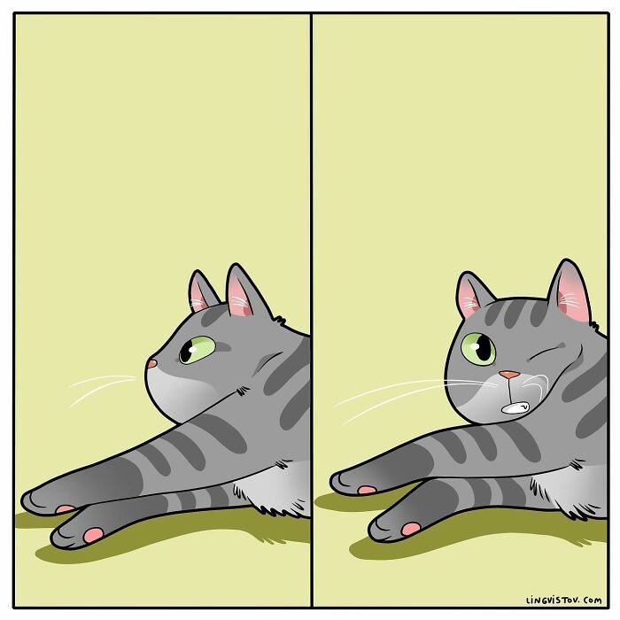 40 quadrinhos divertidos de Lingvistov mostrando como é realmente viver com um gato 23