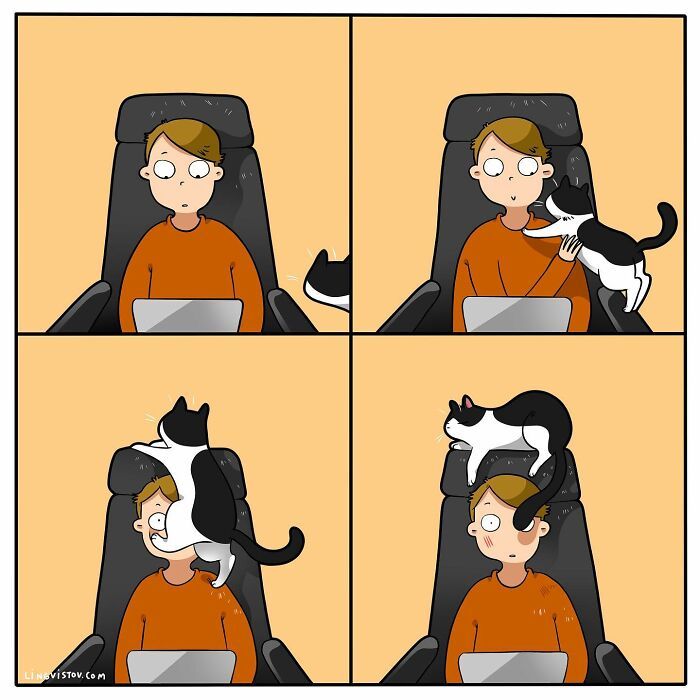 40 quadrinhos divertidos de Lingvistov mostrando como é realmente viver com um gato 26