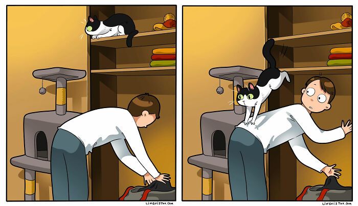 40 quadrinhos divertidos de Lingvistov mostrando como é realmente viver com um gato 28