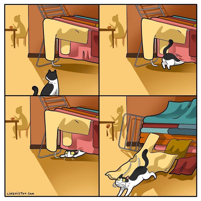 40 quadrinhos divertidos de Lingvistov mostrando como é realmente viver com um gato 29