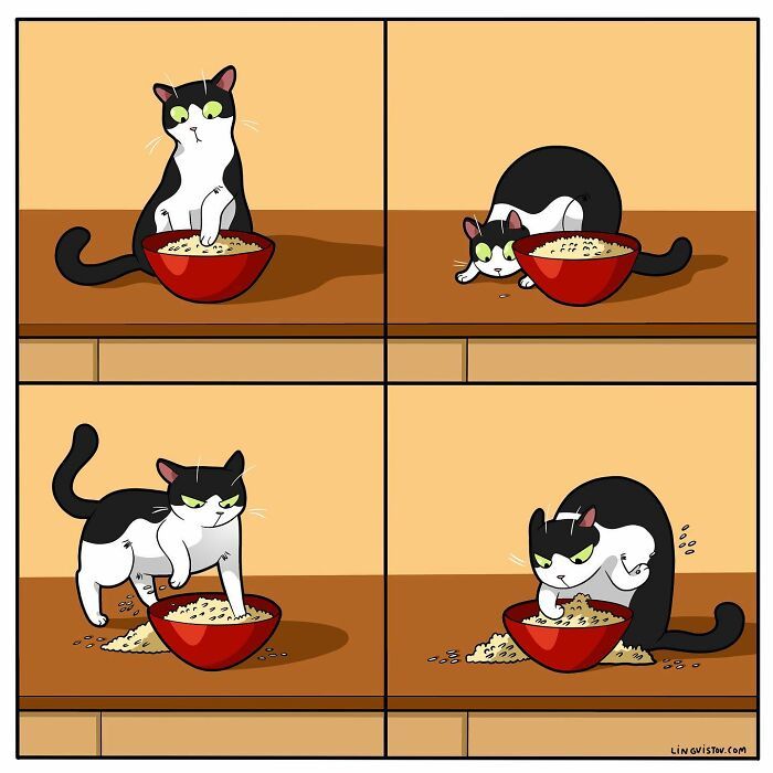 40 quadrinhos divertidos de Lingvistov mostrando como é realmente viver com um gato 31