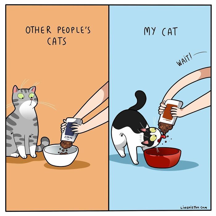 40 quadrinhos divertidos de Lingvistov mostrando como é realmente viver com um gato 36