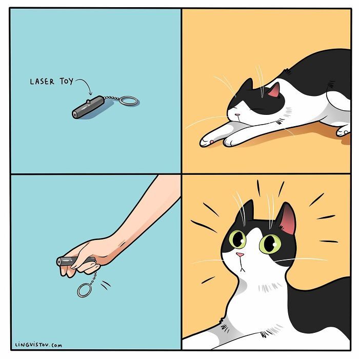 40 quadrinhos divertidos de Lingvistov mostrando como é realmente viver com um gato 38