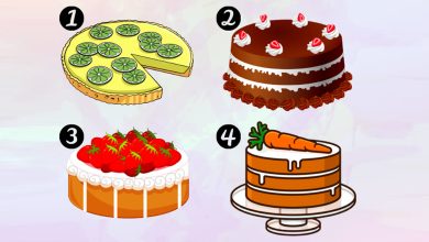 Qual bolo você mais gosta? 3