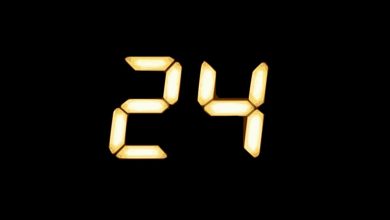 Por que 24 é considerado um número gay? 25