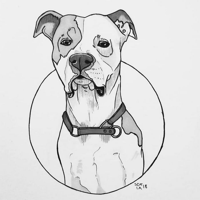 21 desenhos de cachorros para sorrir, inspirados em um desafio de desenho de 30 dias 3