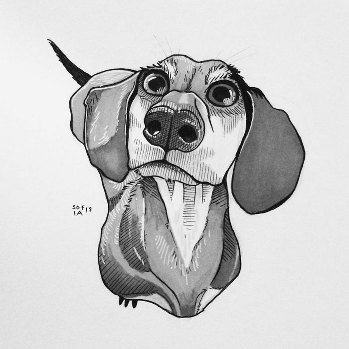 21 desenhos de cachorros para sorrir, inspirados em um desafio de desenho de 30 dias 4