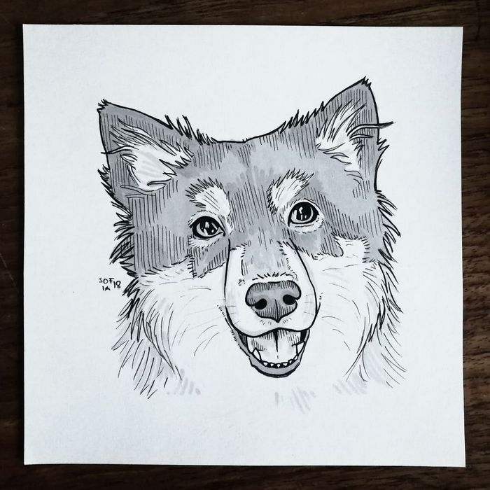 21 desenhos de cachorros para sorrir, inspirados em um desafio de desenho de 30 dias 7
