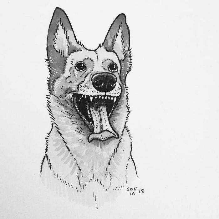 21 desenhos de cachorros para sorrir, inspirados em um desafio de desenho de 30 dias 10