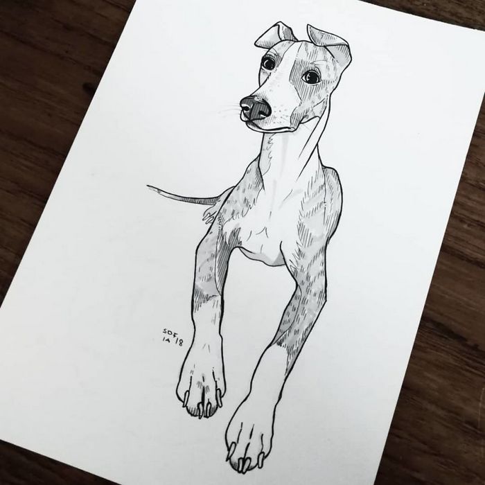 21 desenhos de cachorros para sorrir, inspirados em um desafio de desenho de 30 dias 17