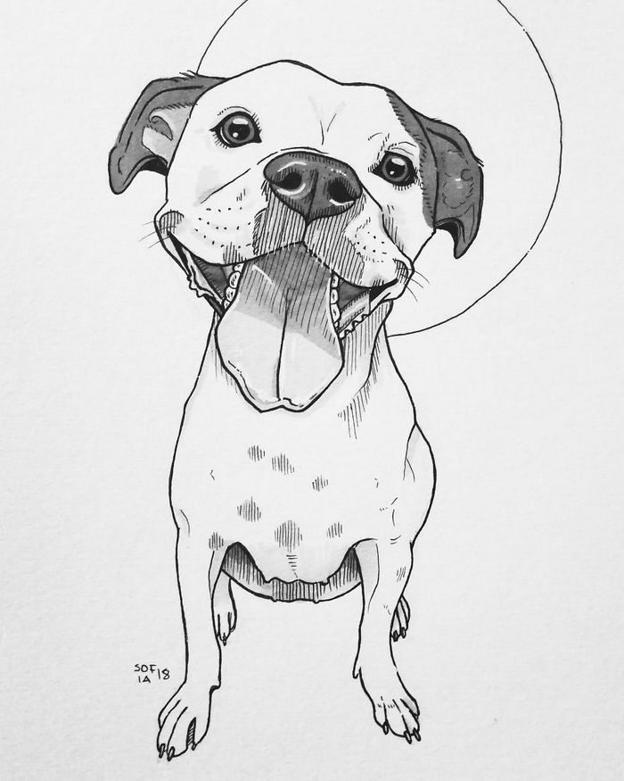 21 desenhos de cachorros para sorrir, inspirados em um desafio de desenho de 30 dias 19