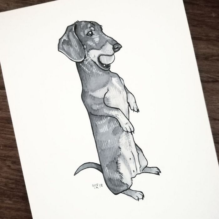 21 desenhos de cachorros para sorrir, inspirados em um desafio de desenho de 30 dias 21