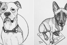 21 desenhos de cachorros para sorrir, inspirados em um desafio de desenho de 30 dias 11