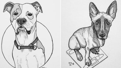 21 desenhos de cachorros para sorrir, inspirados em um desafio de desenho de 30 dias 24